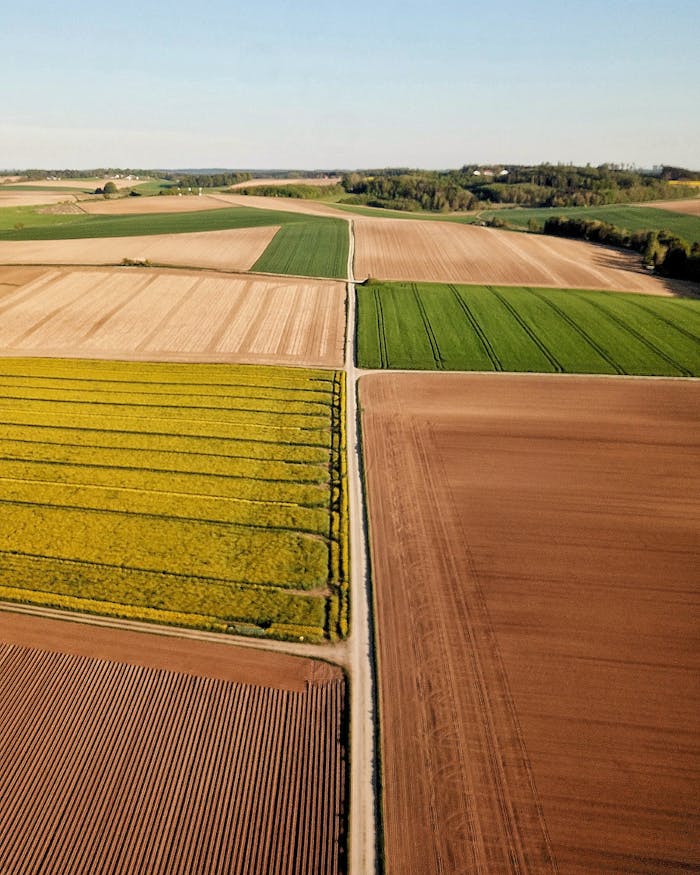 different-colorful-agricultural-fields-under-sky-in-countryside-4303919 A vibrant aerial shot of diverse farmland patterns in Wallersdorf, Germany.