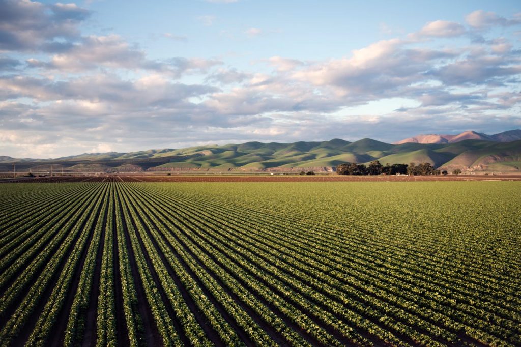 photo-of-green-field-near-mountains-974314 Aerial view of vast farmland with rows of crops and rolling hills in Santa Maria, CA.